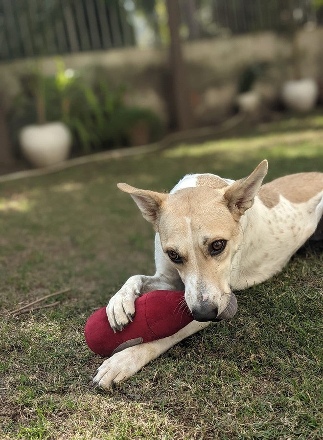 Mutt of Course لعبة كلب نبيذ بوركدو من مات أوف كورس - Image 4